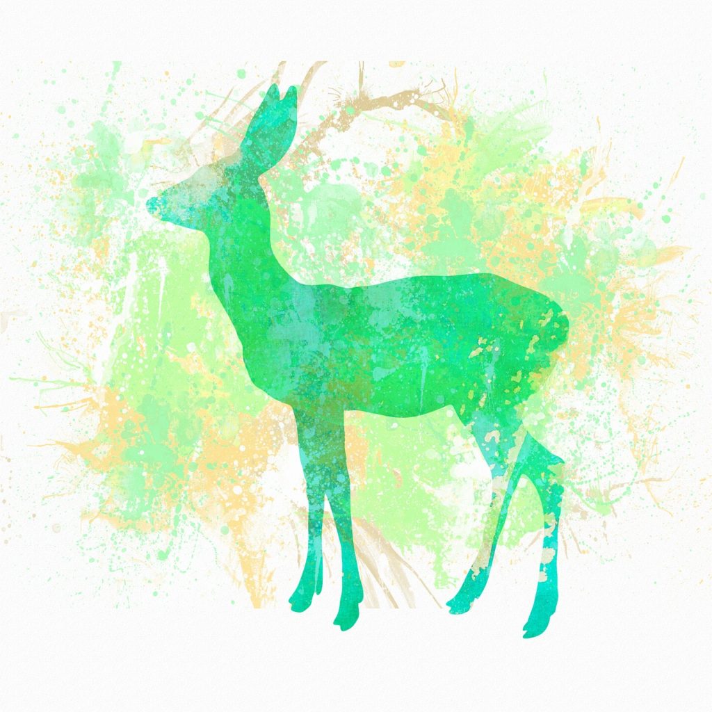 deer, watercolour, splash